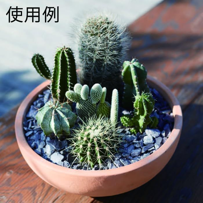 Amazon.co.jp: 植木鉢 おしゃれ 浅型 インテイ ボウル 30cm 6リットル